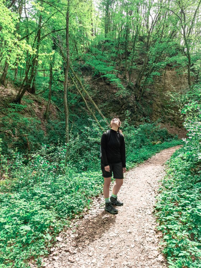 bel al Parco dei Sassi di Roccamalatina 