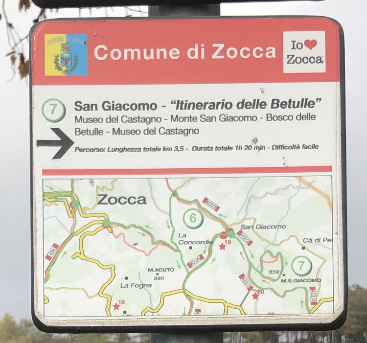 Mappa del percorso delle betulle di Zocca