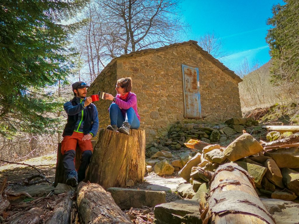 bel e fol nel bosco con alberi secolari