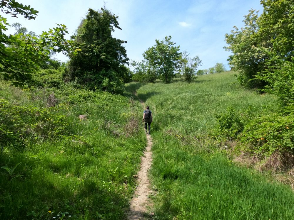 trekking alle salse di nirano