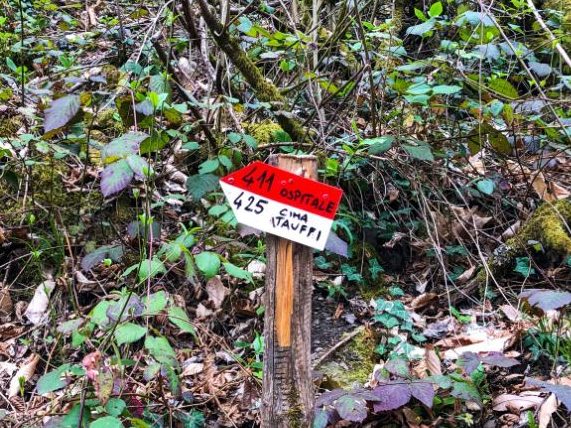 trekking borgo montemezzano