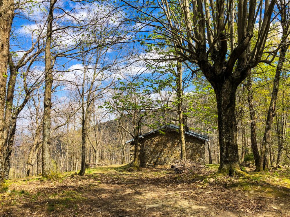 indicazioni trekking