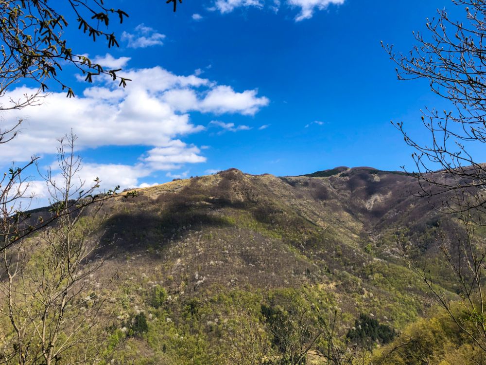 visuale da montemezzano