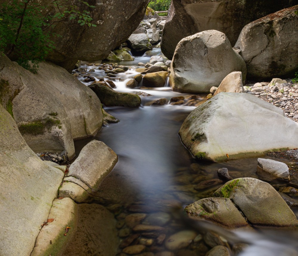 torrente fellicarolo di fanano