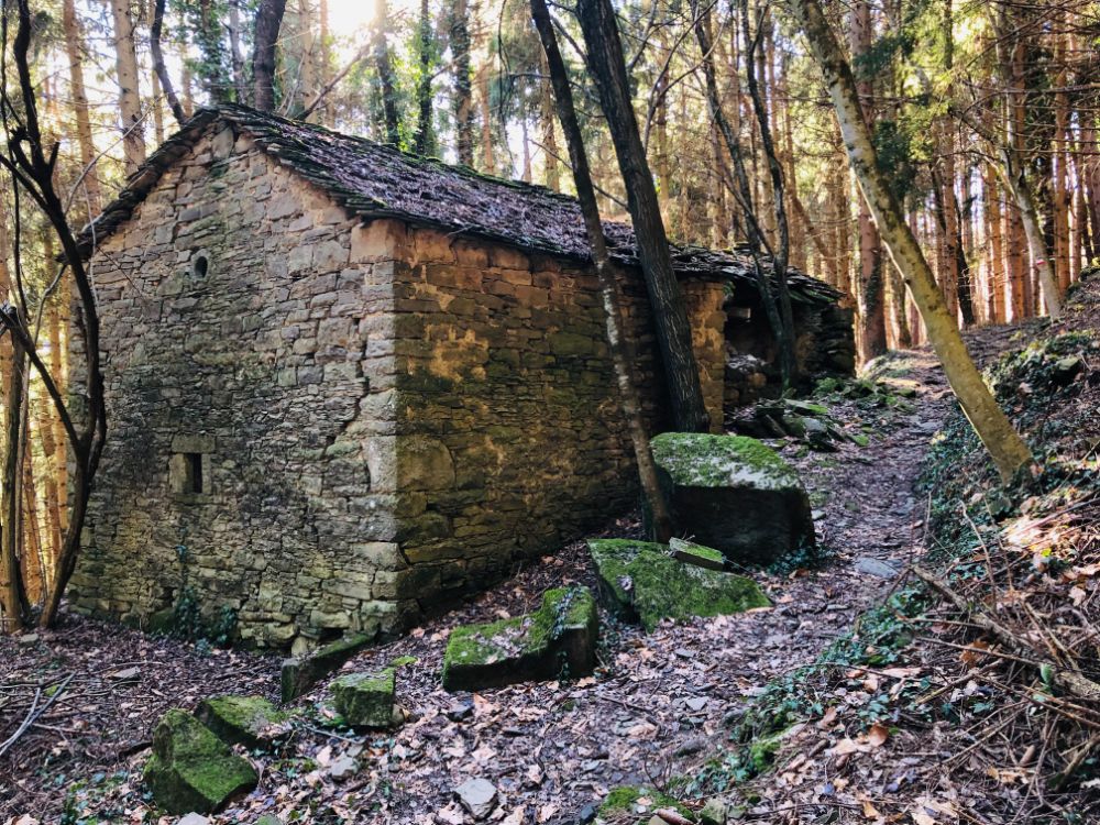 trekking fanano