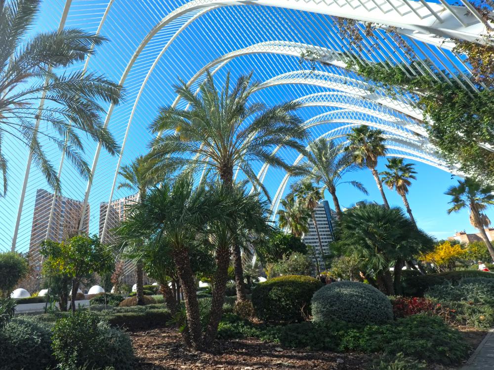 umbracle, valencia